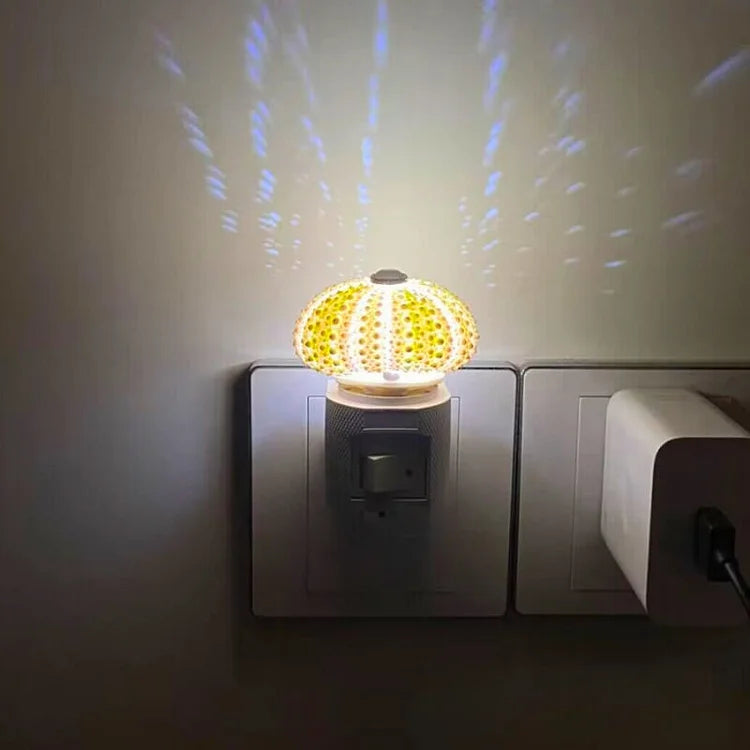 LumiCraft – Unik DIY bordslampa med naturlig sjöborre för en mysig inredning