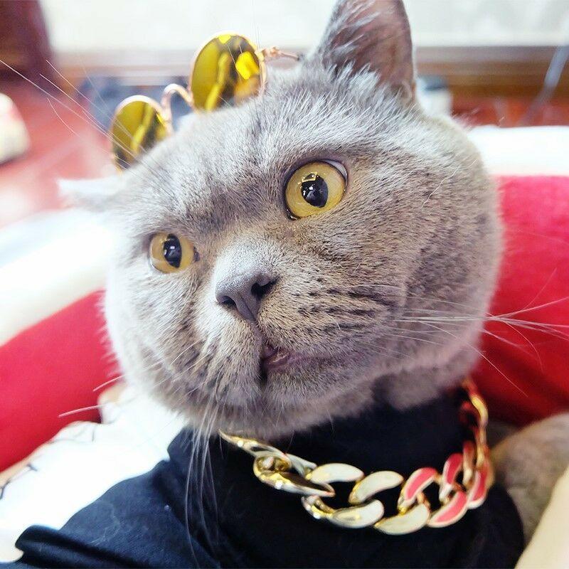 Husdjur Smycken Tjock Guld Kedja Halsband