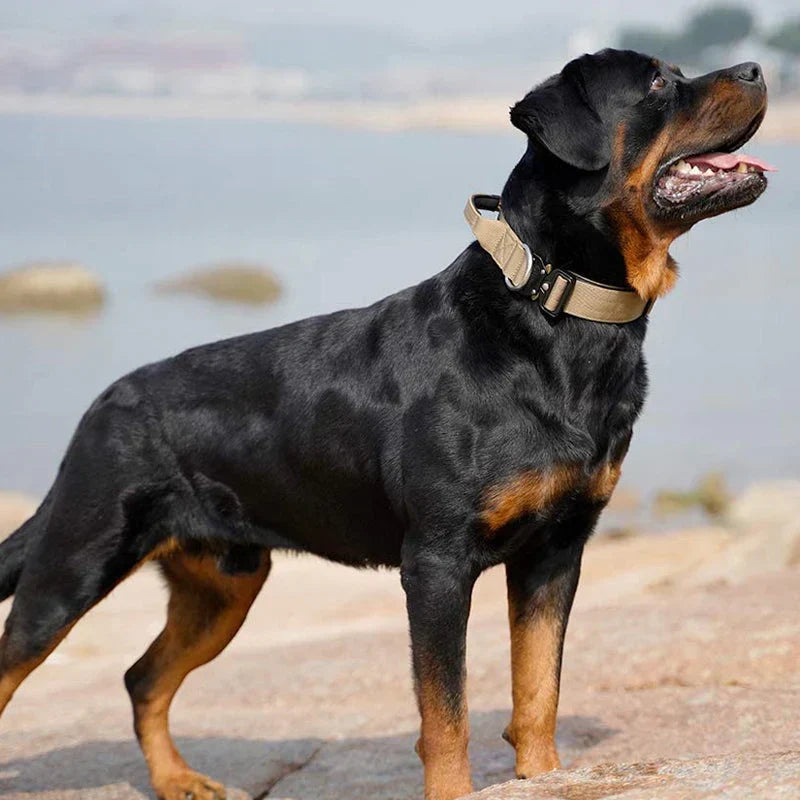 Taktisk Hundhalsband med Handtag – GripMaster