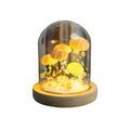 CoastalGlow DIY Igelkotts Nattlampa