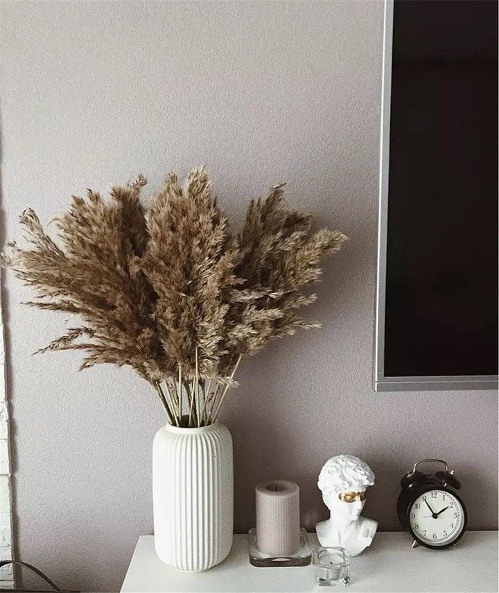 60 cm naturlig, verklig, brun-beige torkad pampasgräsbukett │ fluffig fjäder för modern boho heminredning