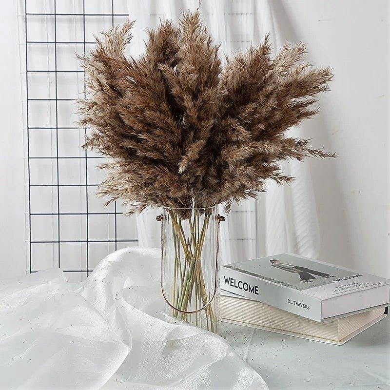 60 cm naturlig, verklig, brun-beige torkad pampasgräsbukett │ fluffig fjäder för modern boho heminredning