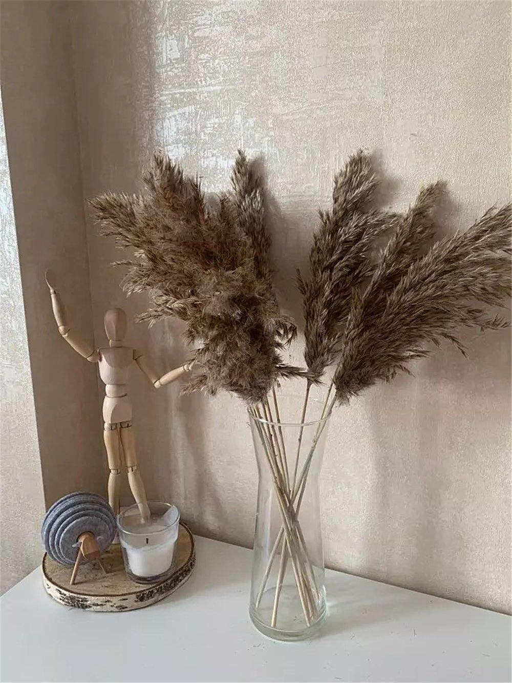 60 cm naturlig, verklig, brun-beige torkad pampasgräsbukett │ fluffig fjäder för modern boho heminredning
