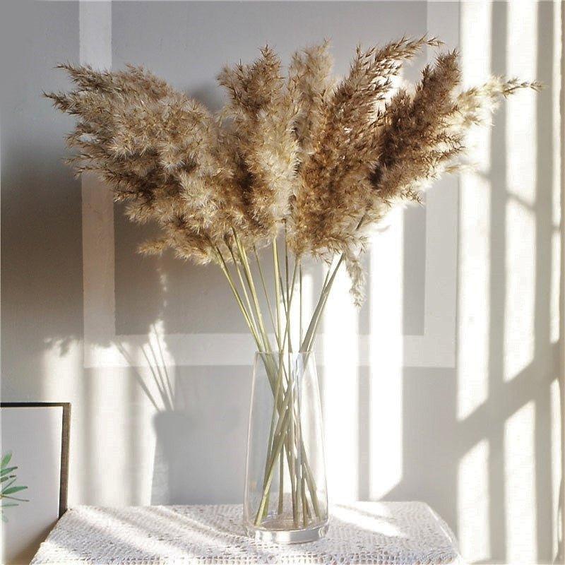 60 cm naturlig, verklig, brun-beige torkad pampasgräsbukett │ fluffig fjäder för modern boho heminredning