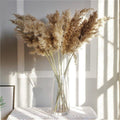 60 cm naturlig, verklig, brun-beige torkad pampasgräsbukett │ fluffig fjäder för modern boho heminredning