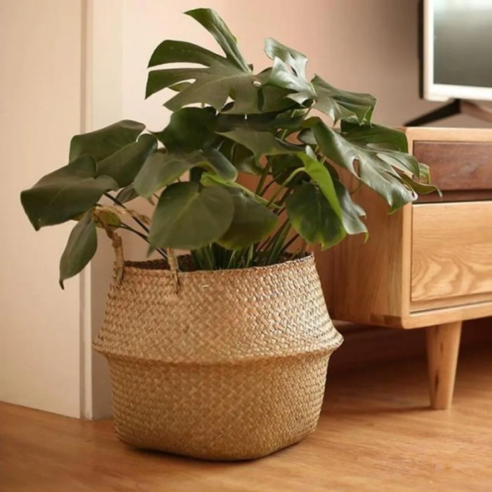 Rattan Växtställ
