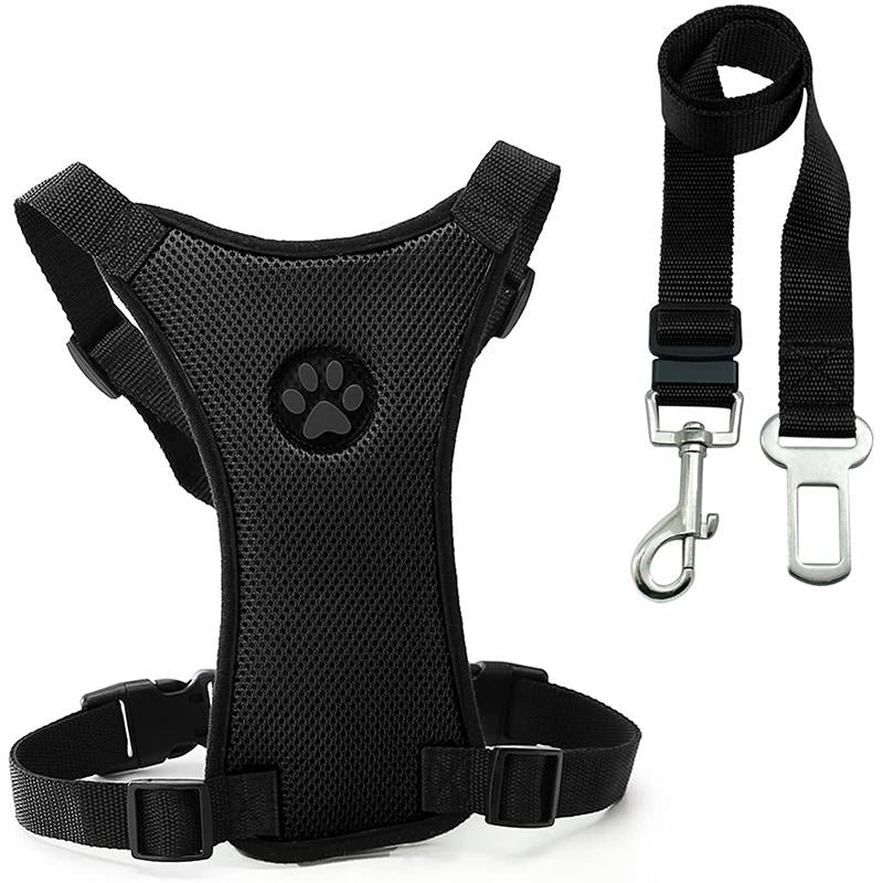 Hundens säkerhetssele-set