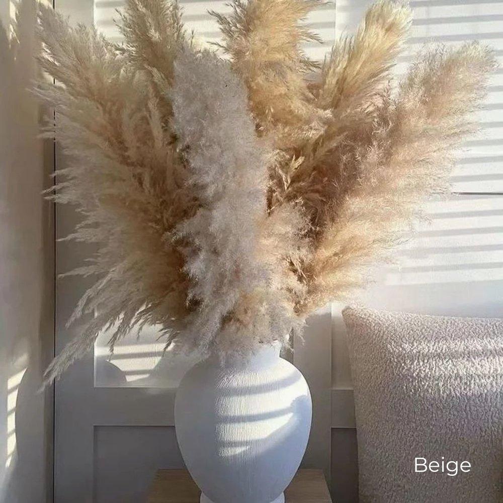 80 cm naturlig, verklig torkad pampasgräsbukett (vit / beige / grå) │ fluffig fjäder för modern boho heminredning