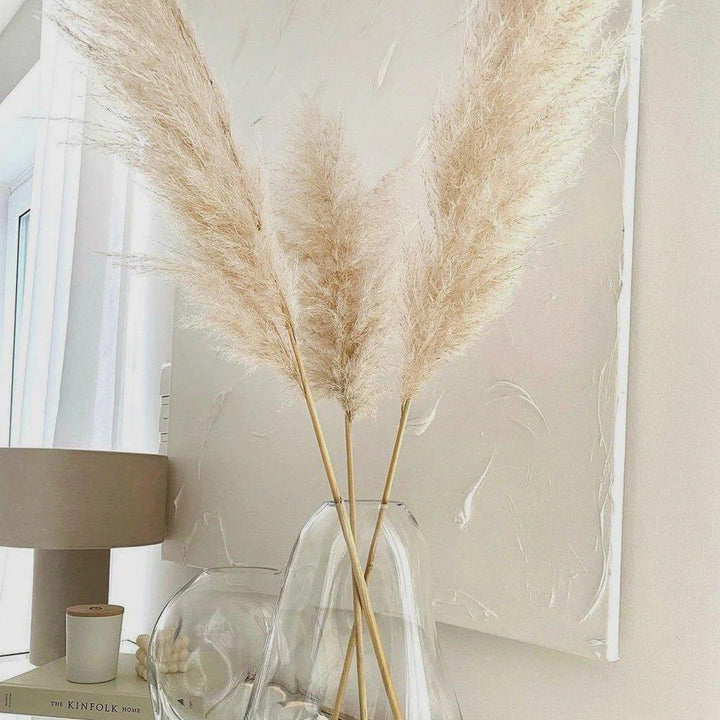 80 cm naturlig, verklig torkad pampasgräsbukett (vit / beige / grå) │ fluffig fjäder för modern boho heminredning