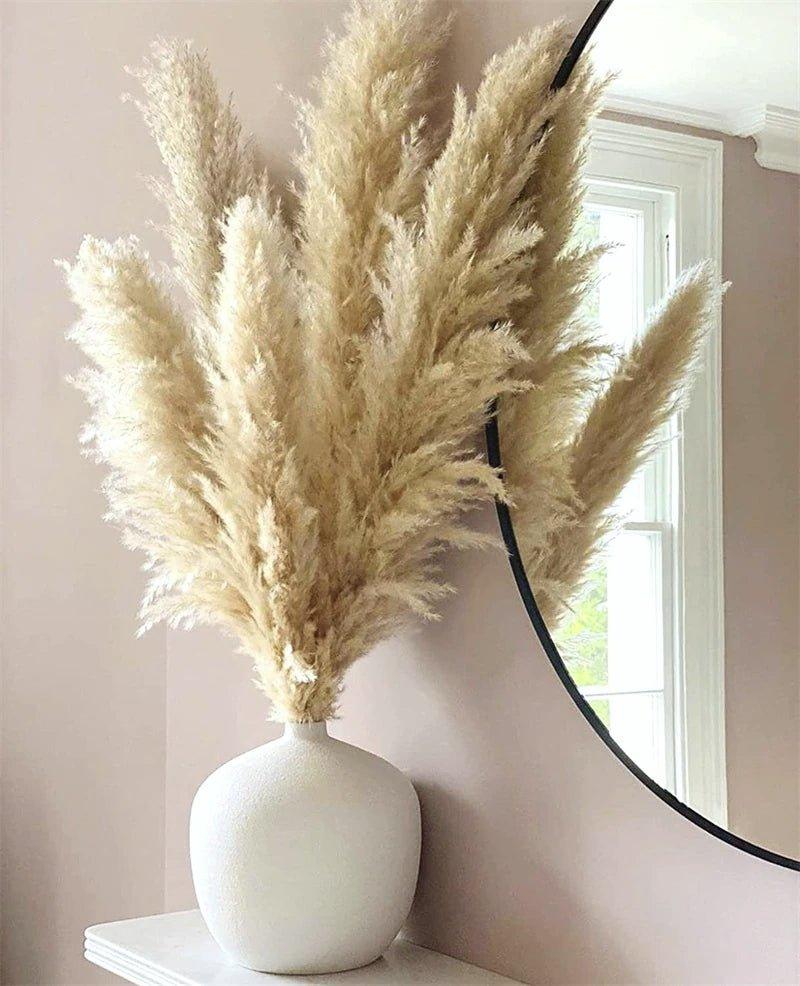 80 cm naturlig, verklig torkad pampasgräsbukett (vit / beige / grå) │ fluffig fjäder för modern boho heminredning