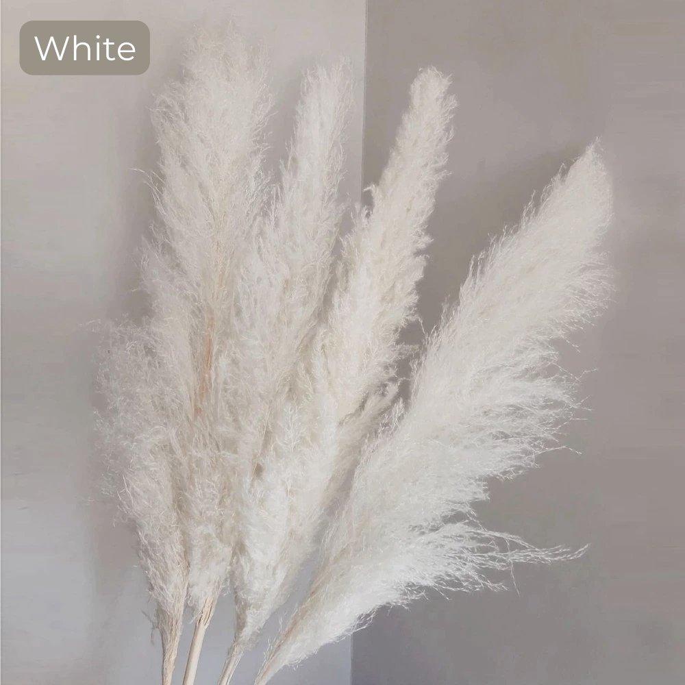 80 cm naturlig, verklig torkad pampasgräsbukett (vit / beige / grå) │ fluffig fjäder för modern boho heminredning