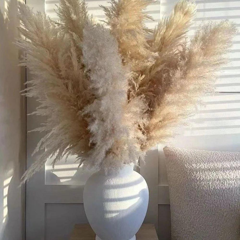 80 cm naturlig, verklig torkad pampasgräsbukett (vit / beige / grå) │ fluffig fjäder för modern boho heminredning