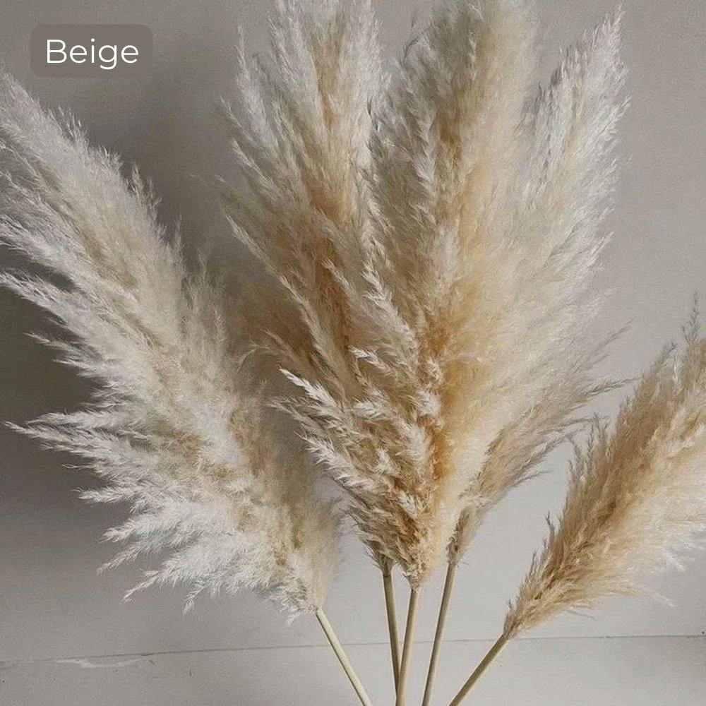 80 cm naturlig, verklig torkad pampasgräsbukett (vit / beige / grå) │ fluffig fjäder för modern boho heminredning