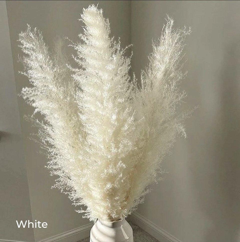 80 cm naturlig, verklig torkad pampasgräsbukett (vit / beige / grå) │ fluffig fjäder för modern boho heminredning