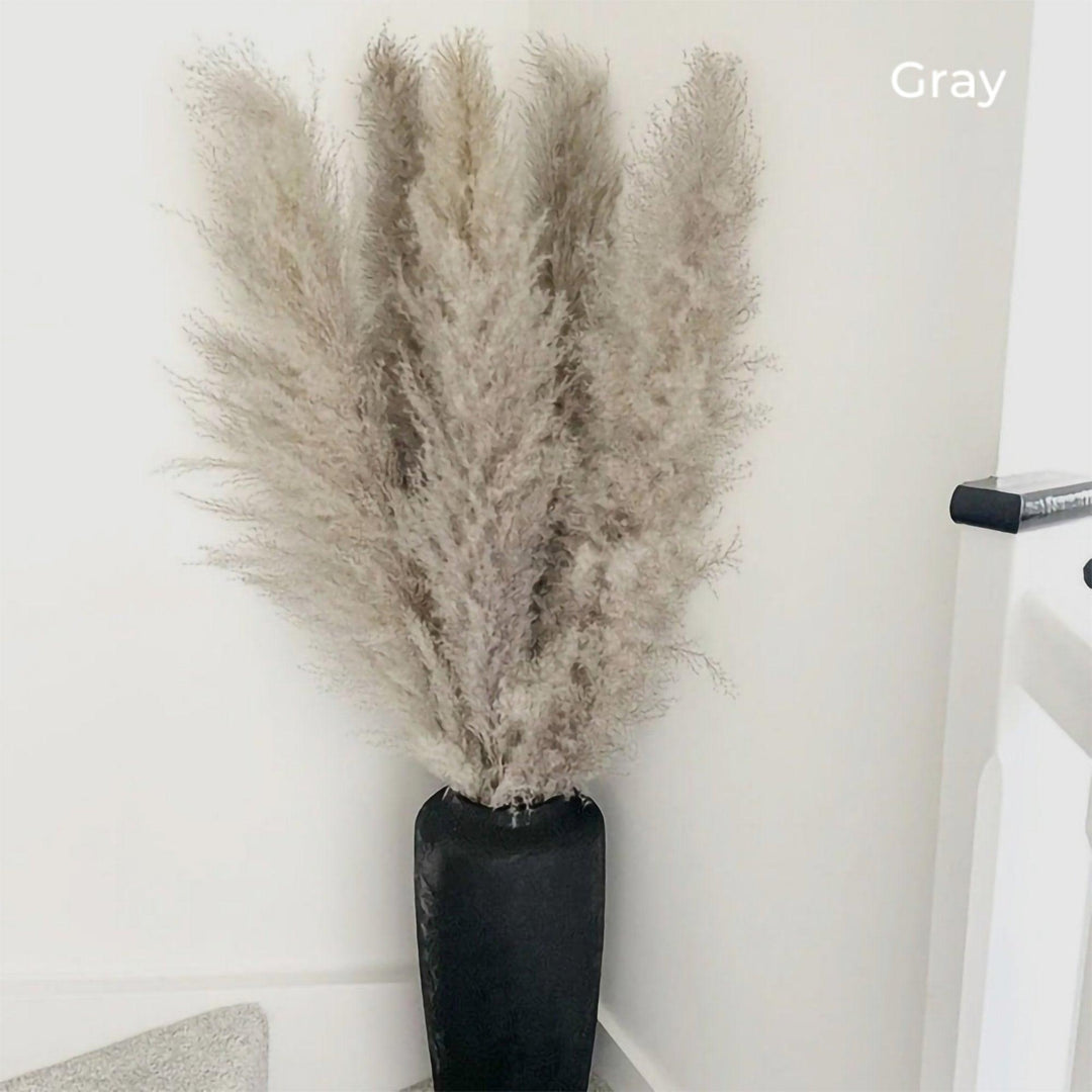 80 cm naturlig, verklig torkad pampasgräsbukett (vit / beige / grå) │ fluffig fjäder för modern boho heminredning