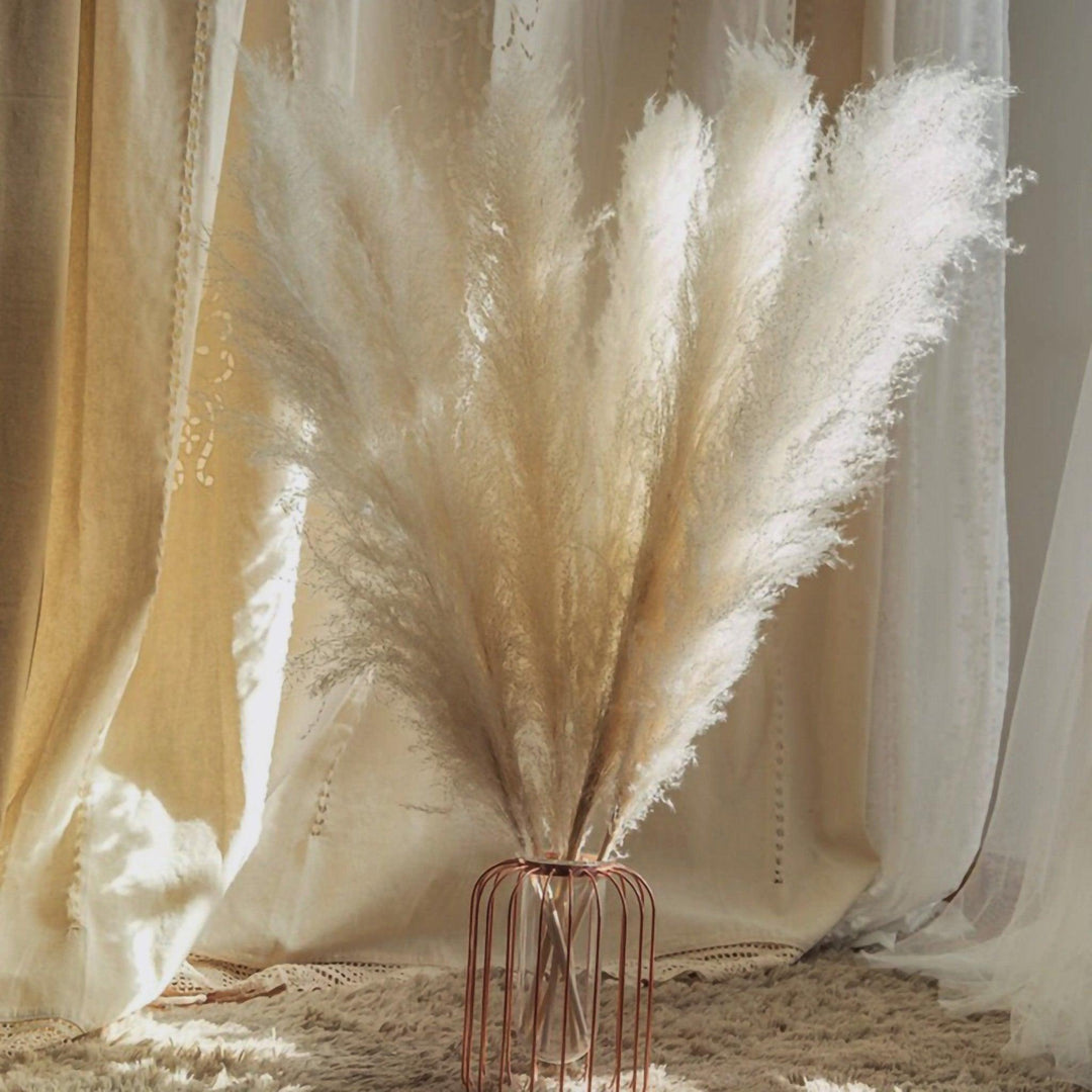 80 cm naturlig, verklig torkad pampasgräsbukett (vit / beige / grå) │ fluffig fjäder för modern boho heminredning