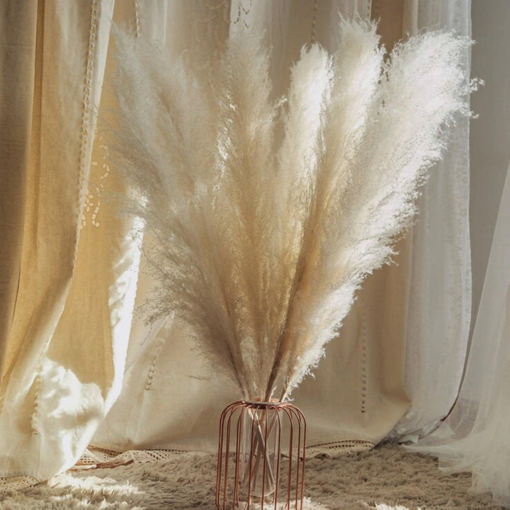 80 cm naturlig, verklig torkad pampasgräsbukett (vit / beige / grå) │ fluffig fjäder för modern boho heminredning