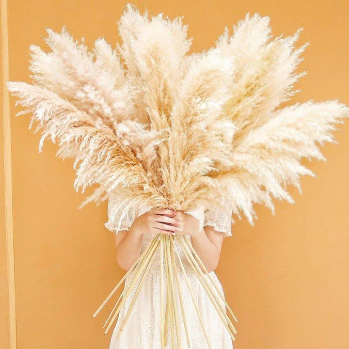 80 cm naturlig, verklig torkad pampasgräsbukett (vit / beige / grå) │ fluffig fjäder för modern boho heminredning