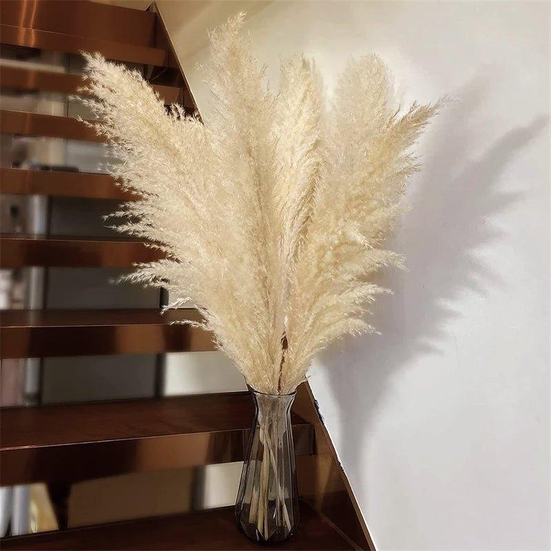 80 cm naturlig, verklig torkad pampasgräsbukett (vit / beige / grå) │ fluffig fjäder för modern boho heminredning