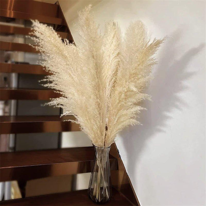80 cm naturlig, verklig torkad pampasgräsbukett (vit / beige / grå) │ fluffig fjäder för modern boho heminredning