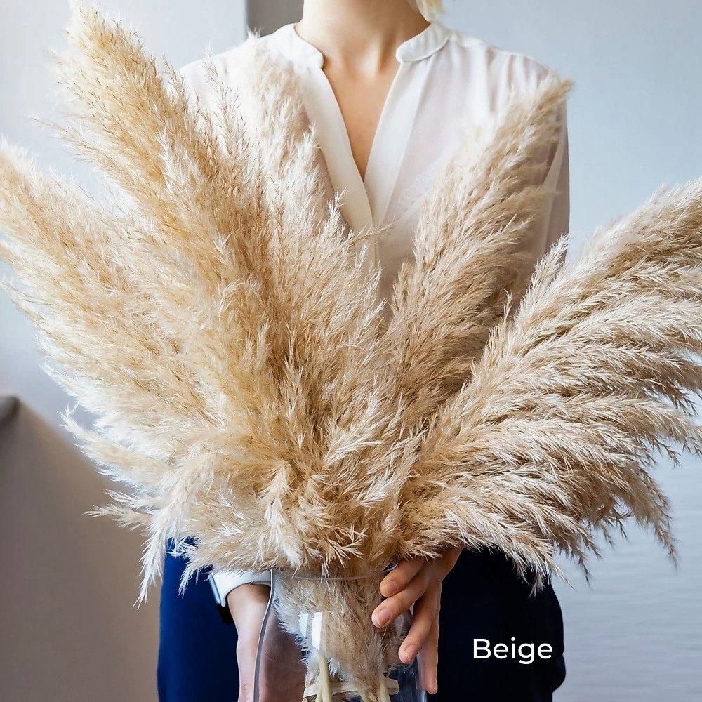 80 cm naturlig, verklig torkad pampasgräsbukett (vit / beige / grå) │ fluffig fjäder för modern boho heminredning