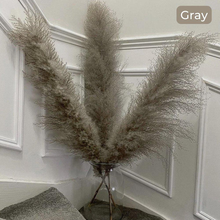 80 cm naturlig, verklig torkad pampasgräsbukett (vit / beige / grå) │ fluffig fjäder för modern boho heminredning