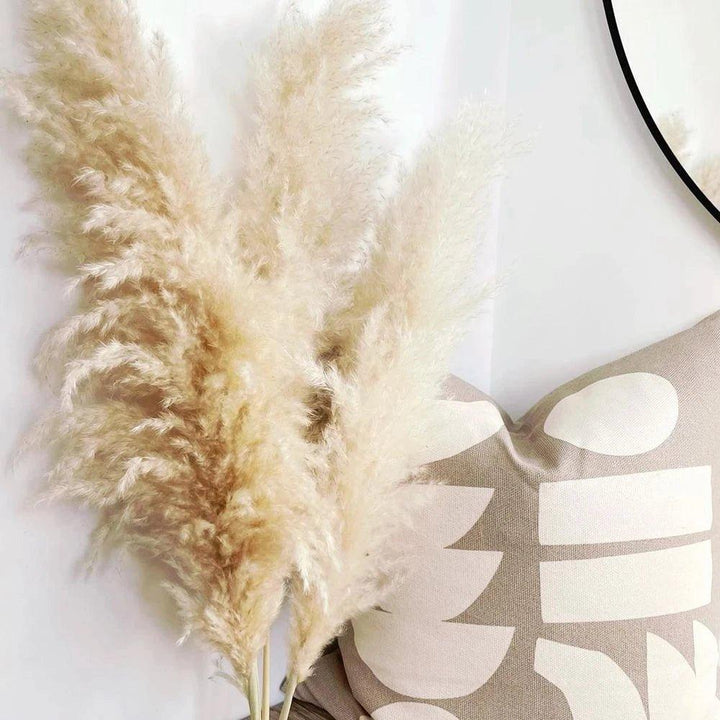 80 cm naturlig, verklig torkad pampasgräsbukett (vit / beige / grå) │ fluffig fjäder för modern boho heminredning