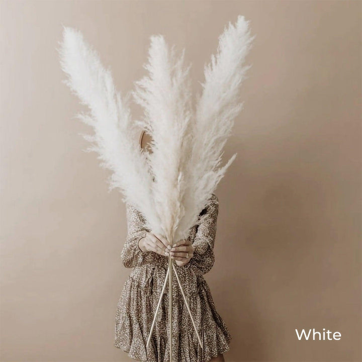 80 cm naturlig, verklig torkad pampasgräsbukett (vit / beige / grå) │ fluffig fjäder för modern boho heminredning