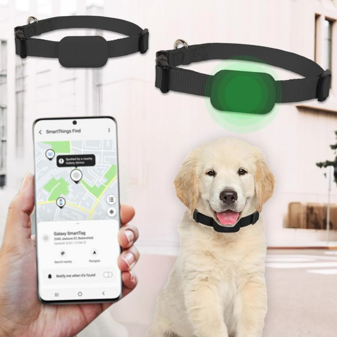 AnimalTracker Mini – Smart Bluetooth-halsband för hundar och katter