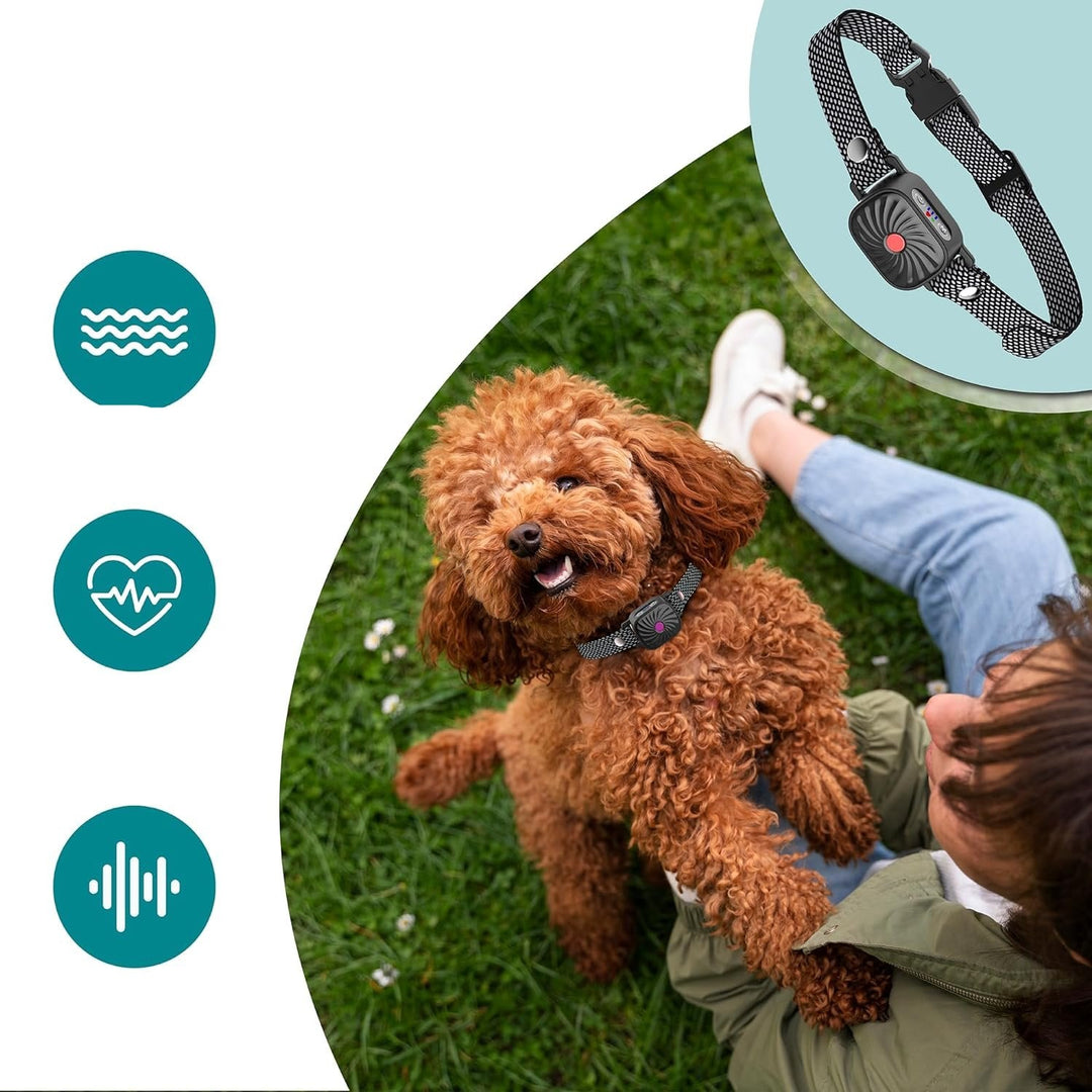Justerbar Anti-Bark Halsband för Hundar | Human, Bekväm &amp; Effektiv Barkkontroll Enhet för Små till Stora Raser