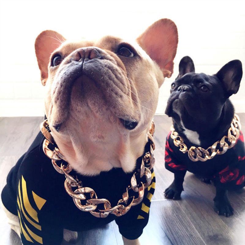 Husdjur Smycken Tjock Guld Kedja Halsband