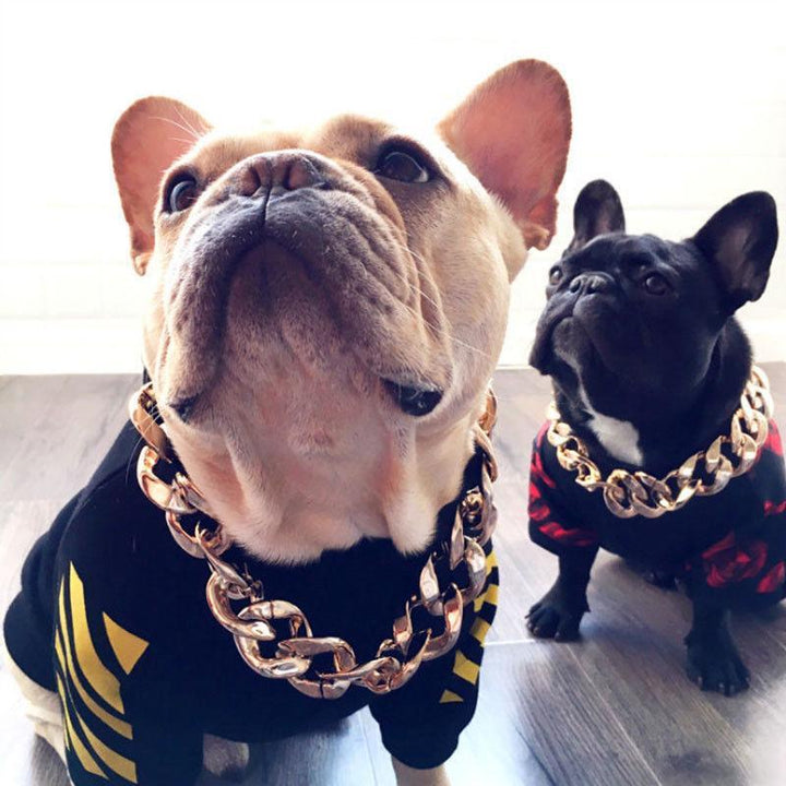 Husdjur Smycken Tjock Guld Kedja Halsband