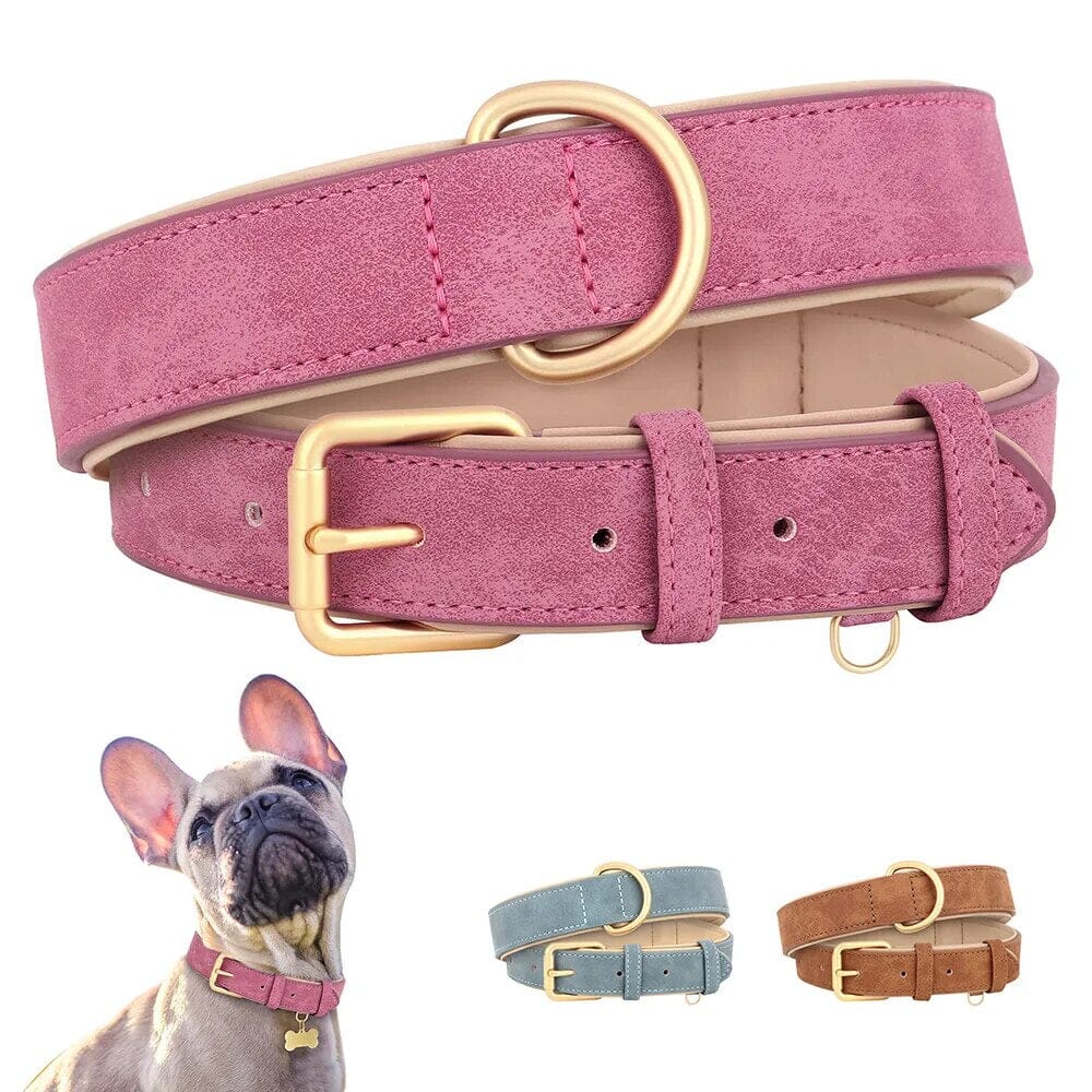 Valp Halsband