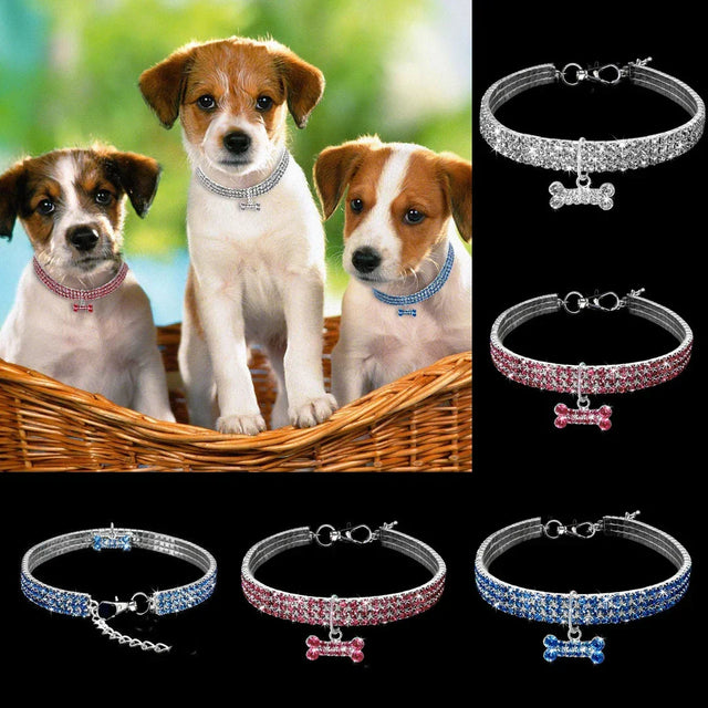 Glamorös Hundhalsband – SparkleCollar
