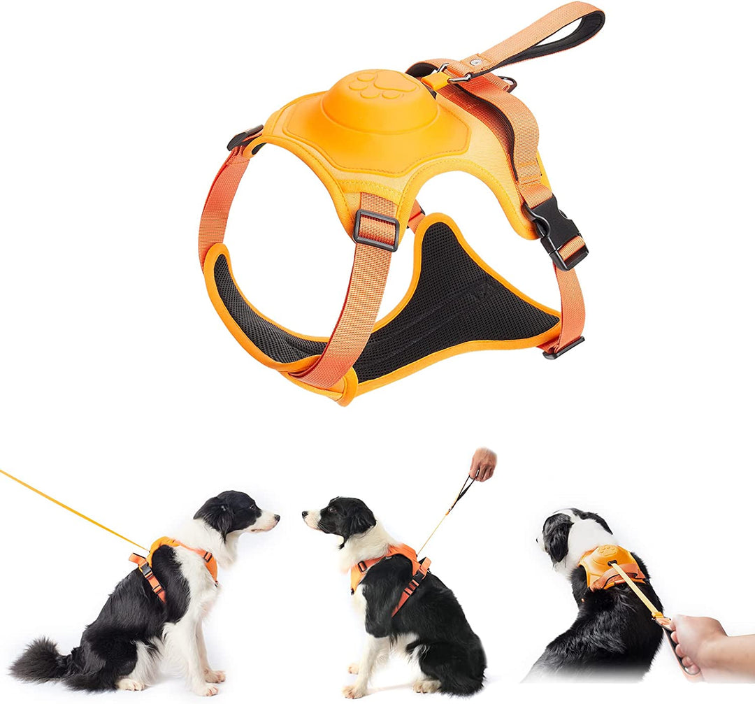 mamymarket™ - Hundsele och utdragbar koppelset All-in-One