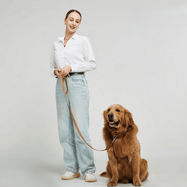ComfyPaws Hundsele Gå-set med Koppel och Påsehållare