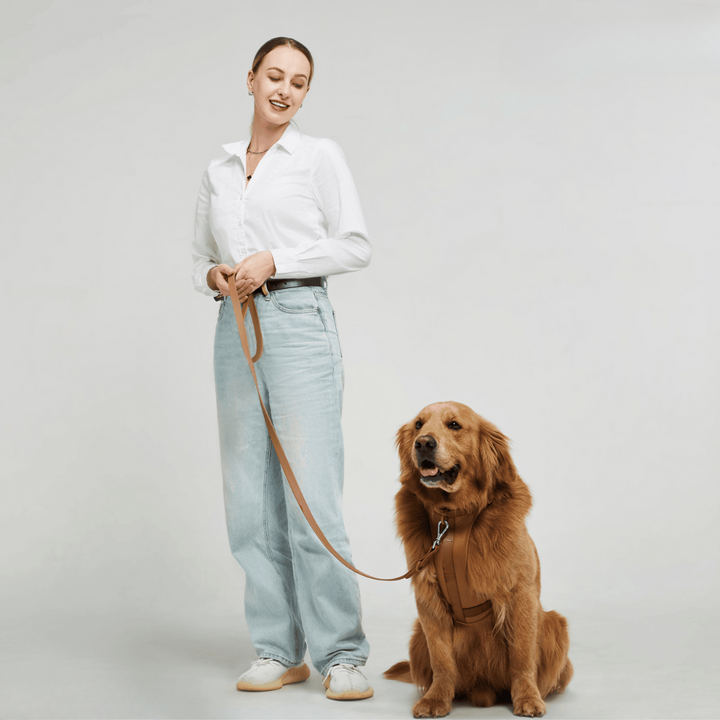 ComfyPaws Hundsele Gå-set med Koppel och Påsehållare