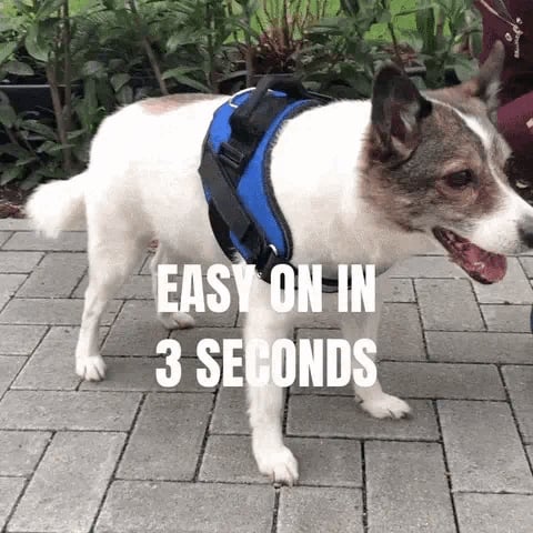 Anti Choke Hundsele
