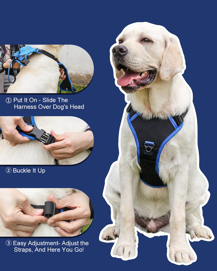 mamymarket™ - Hundsele och utdragbar koppelset All-in-One
