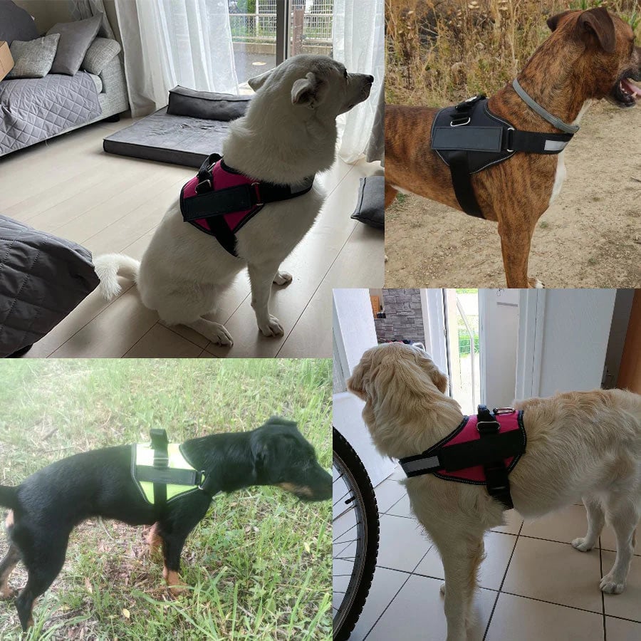 Anti Choke Hundsele