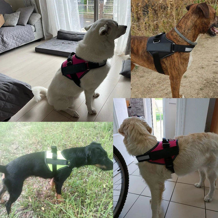 Anti Choke Hundsele