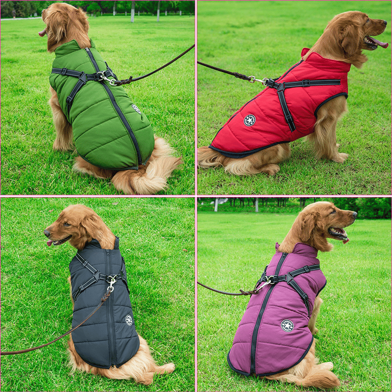 Vinterhundjacka med sele |