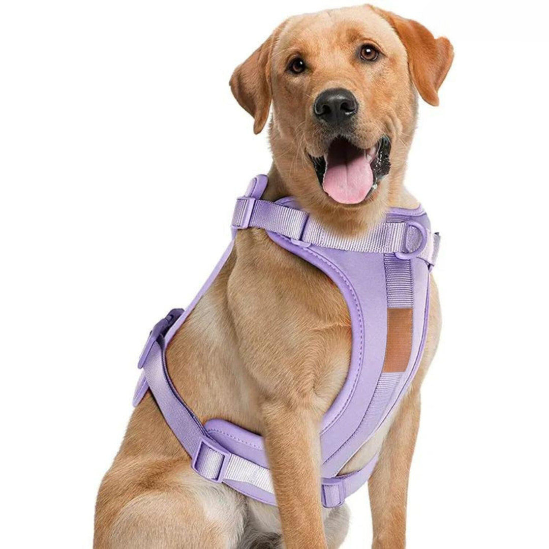ComfyPaws Hundsele Gå-set med Koppel och Påsehållare