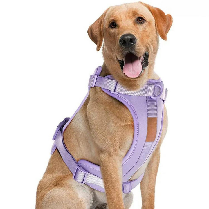 ComfyPaws Hundsele Gå-set med Koppel och Påsehållare