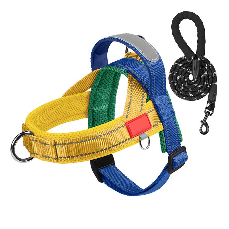 PawEase Comfort Harness — Avslappnad påklädning och oändlig frihet för din hund |