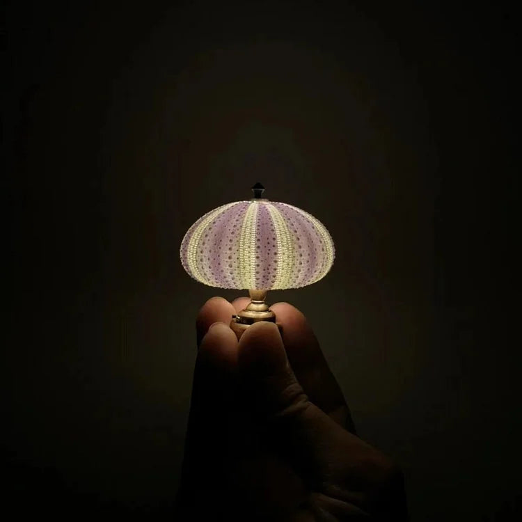 LumiCraft – Unik DIY bordslampa med naturlig sjöborre för en mysig inredning