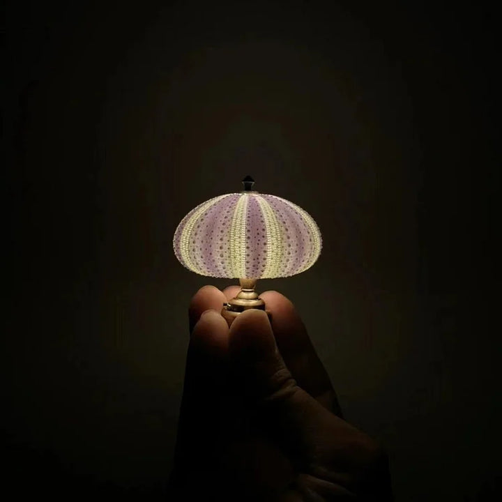 LumiCraft – Unik DIY bordslampa med naturlig sjöborre för en mysig inredning