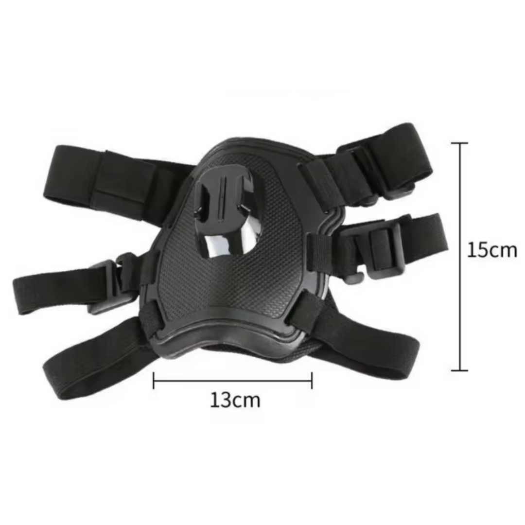 Action-Kamera Hundsele med 360° Perspektiv