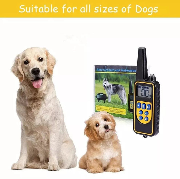 2600ft Elektronisk Hundträningshalsband Vattentålig Pet Remote