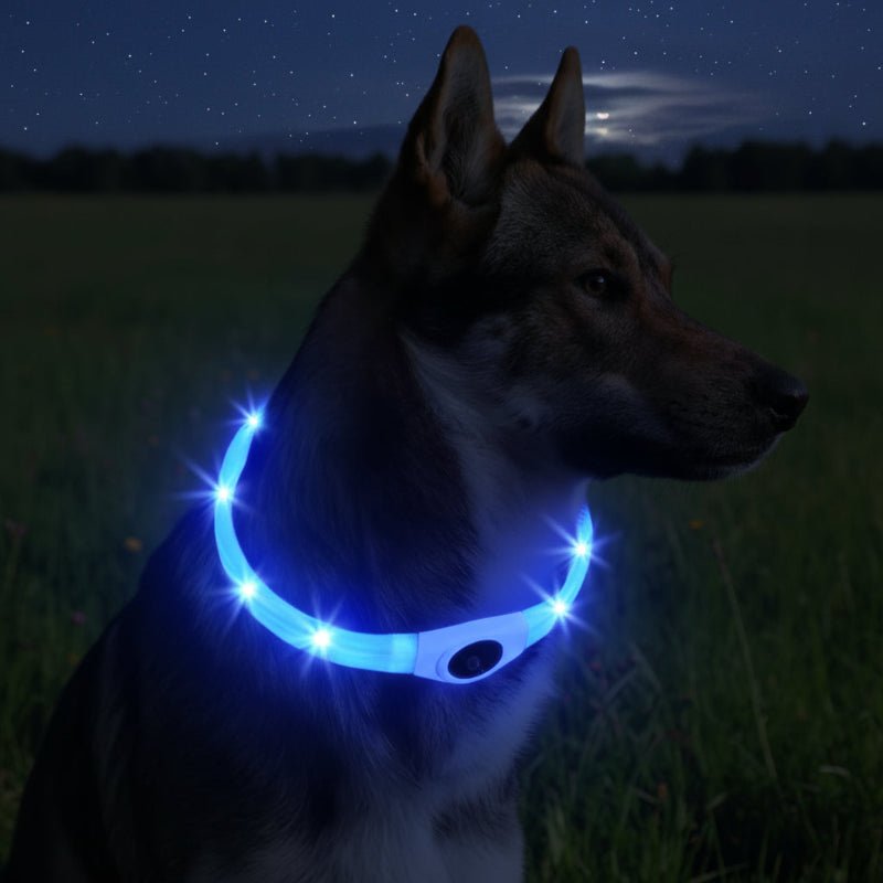 LED-ljuskrage för hundar för säkra promenader på natten